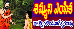 Sishyuni empika